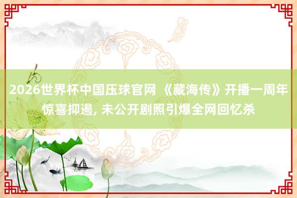 2026世界杯中国压球官网 《藏海传》开播一周年惊喜抑遏， 未公开剧照引爆全网回忆杀