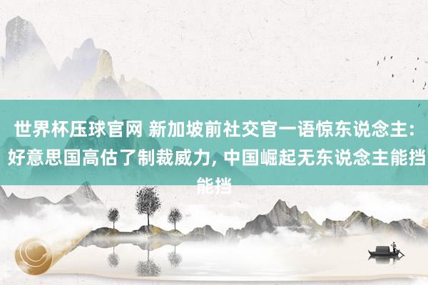 世界杯压球官网 新加坡前社交官一语惊东说念主: 好意思国高估了制裁威力， 中国崛起无东说念主能挡