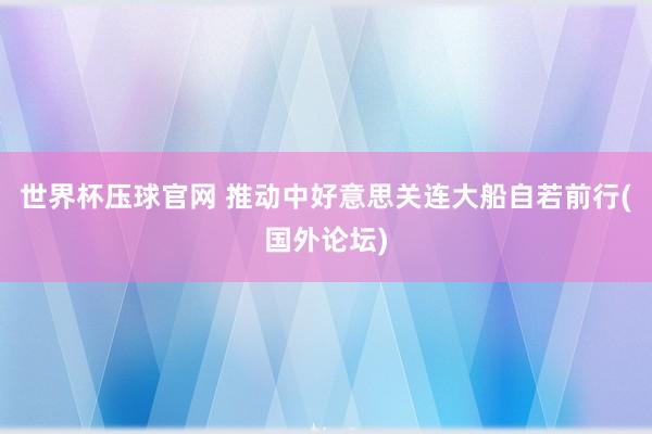世界杯压球官网 推动中好意思关连大船自若前行(国外论坛)