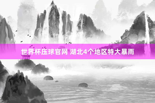 世界杯压球官网 湖北4个地区特大暴雨