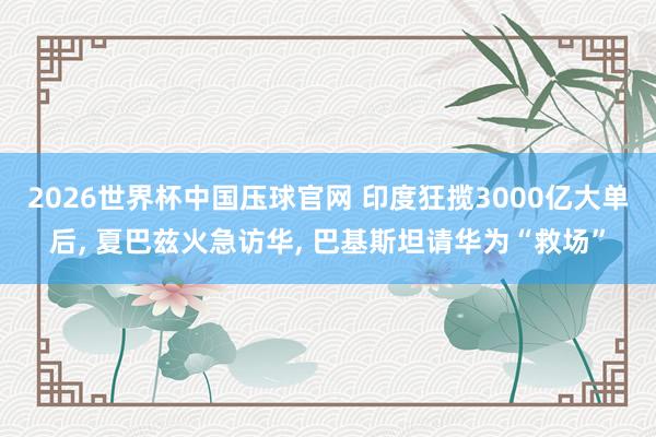 2026世界杯中国压球官网 印度狂揽3000亿大单后， 夏巴兹火急访华， 巴基斯坦请华为“救场”
