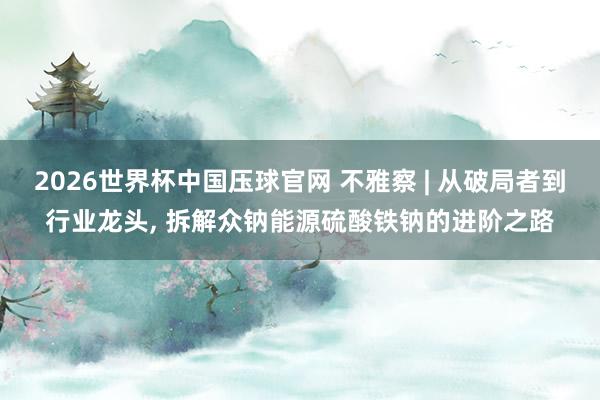 2026世界杯中国压球官网 不雅察 | 从破局者到行业龙头, 拆解众钠能源硫酸铁钠的进阶之路