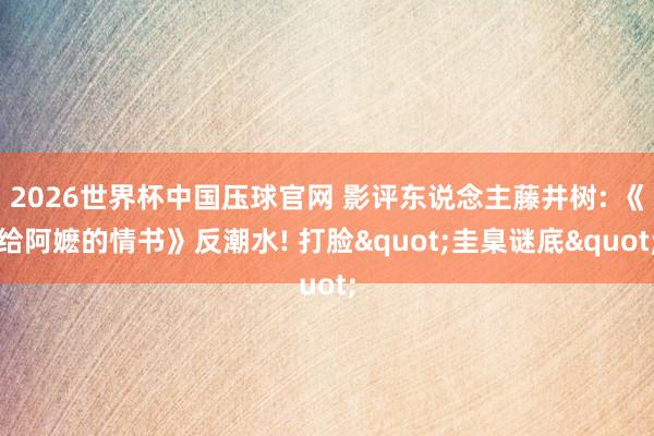 2026世界杯中国压球官网 影评东说念主藤井树: 《给阿嬷的情书》反潮水! 打脸"圭臬谜底"