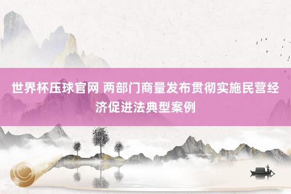 世界杯压球官网 两部门商量发布贯彻实施民营经济促进法典型案例