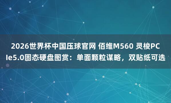 2026世界杯中国压球官网 佰维M560 灵梭PCIe5.0固态硬盘图赏：单面颗粒谋略，双贴纸可选