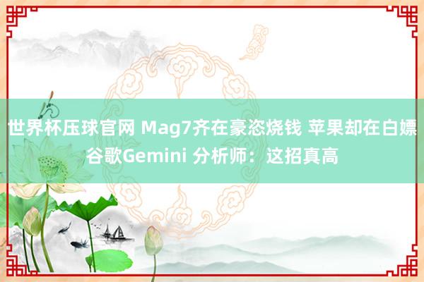 世界杯压球官网 Mag7齐在豪恣烧钱 苹果却在白嫖谷歌Gemini 分析师：这招真高