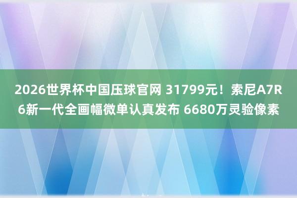 2026世界杯中国压球官网 31799元！索尼A7R6新一代全画幅微单认真发布 6680万灵验像素