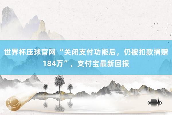 世界杯压球官网 “关闭支付功能后，仍被扣款捐赠184万”，支付宝最新回报