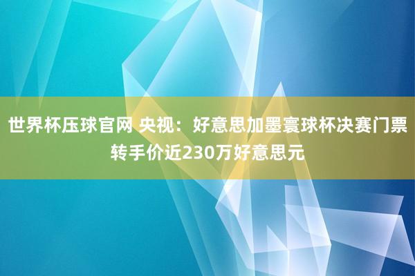 世界杯压球官网 央视：好意思加墨寰球杯决赛门票转手价近230万好意思元