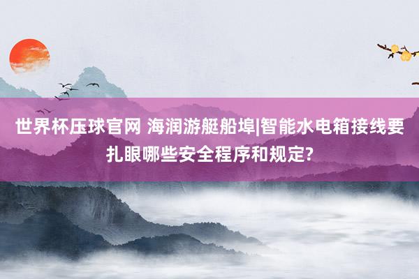 世界杯压球官网 海润游艇船埠|智能水电箱接线要扎眼哪些安全程序和规定?