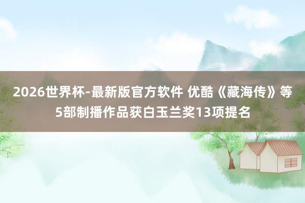 2026世界杯-最新版官方软件 优酷《藏海传》等5部制播作品获白玉兰奖13项提名