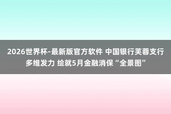 2026世界杯-最新版官方软件 中国银行芙蓉支行多维发力 绘就5月金融消保“全景图”