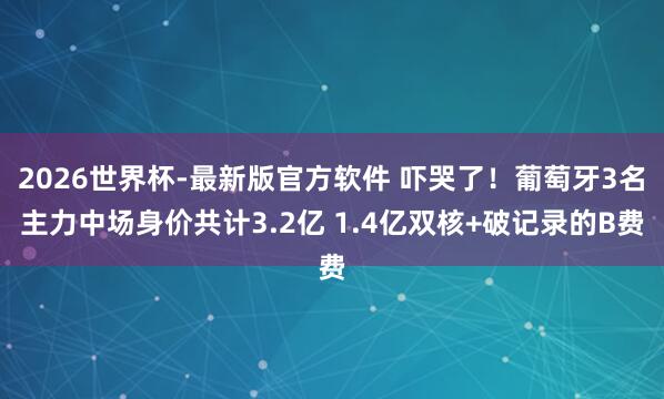 2026世界杯-最新版官方软件 吓哭了！葡萄牙3名主力中场身价共计3.2亿 1.4亿双核+破记录的B费