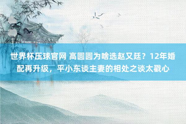 世界杯压球官网 高圆圆为啥选赵又廷？12年婚配再升级，平小东谈主妻的相处之谈太戳心