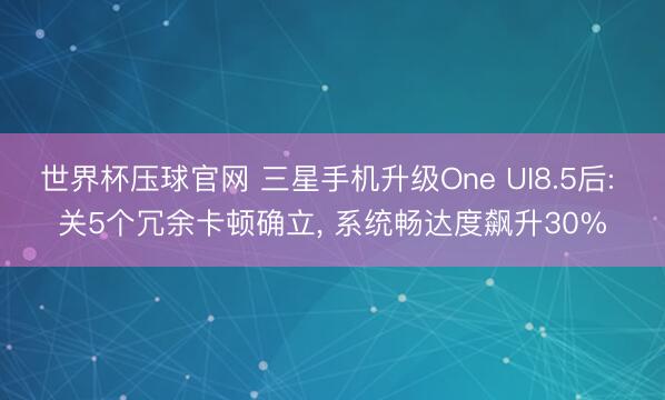 世界杯压球官网 三星手机升级One UI8.5后: 关5个冗余卡顿确立， 系统畅达度飙升30%