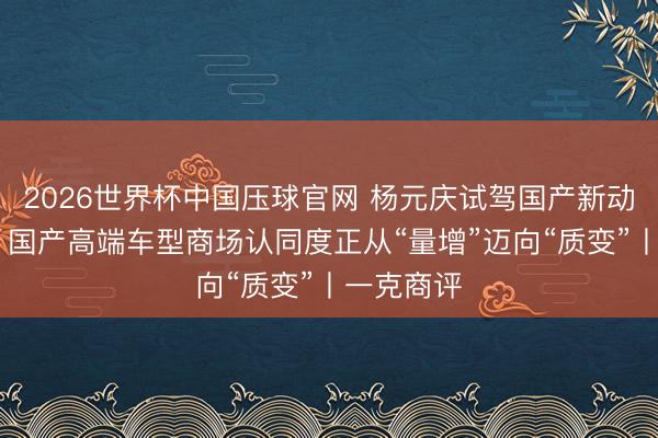 2026世界杯中国压球官网 杨元庆试驾国产新动力车背后 国产高端车型商场认同度正从“量增”迈向“质变”丨一克商评